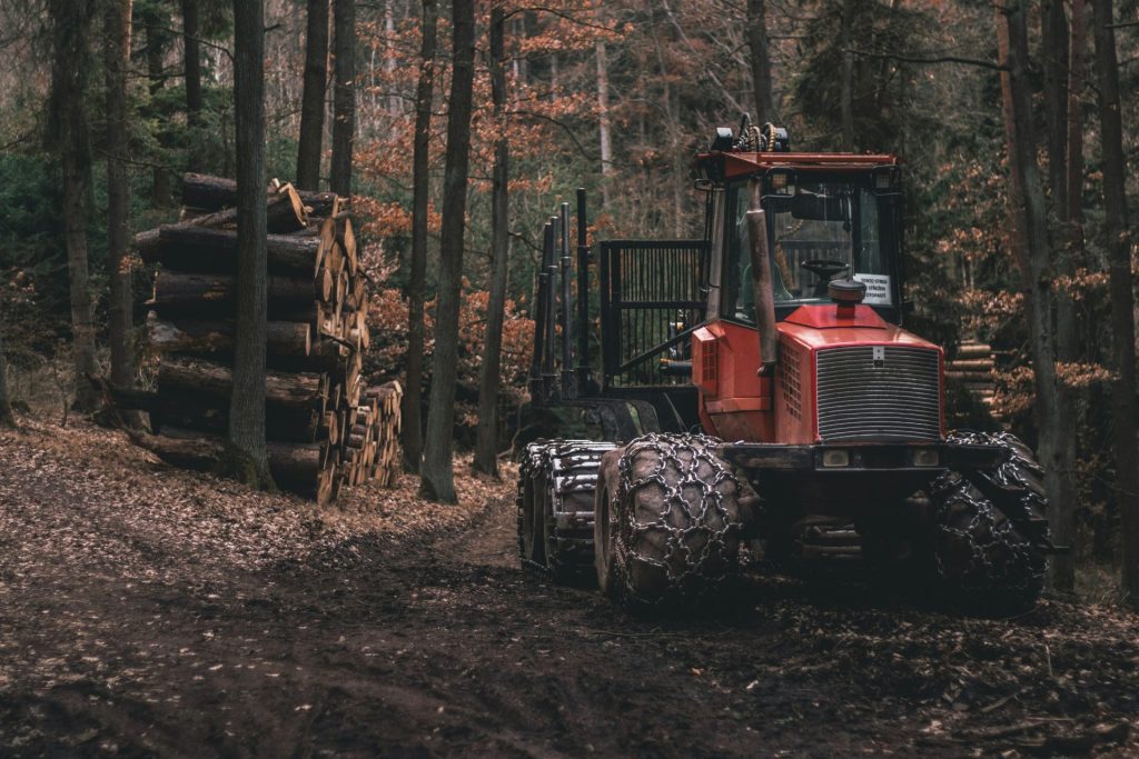 roter Traktor unter braunen Bäumen geparkt
